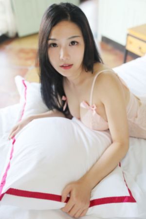 南部档案电视剧