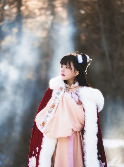 热门影视小说免费读